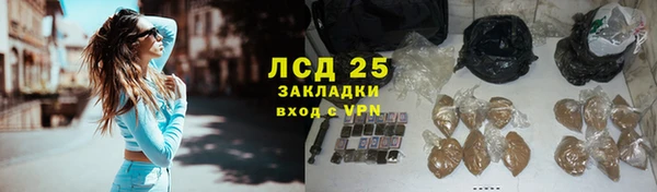 прущие грибы Богородицк