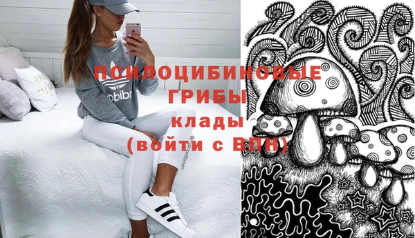 прущие грибы Богородицк