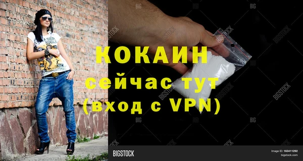 прущие грибы Богородицк
