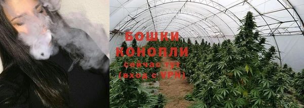 каннабис Богданович