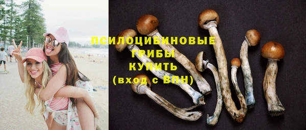 спайс Богородск