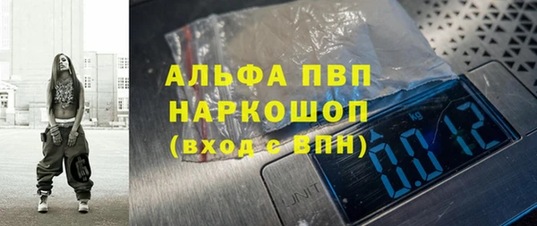 прущие грибы Богородицк