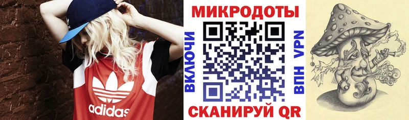 где найти наркотики Тюмень Галлюциногенные грибы Psilocybine cubensis